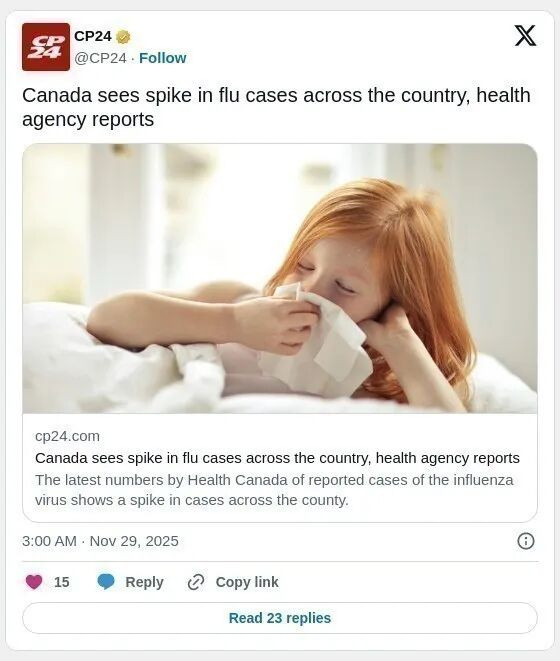 1764523659547333.jpeg 692c5f9511a35_original.jpeg