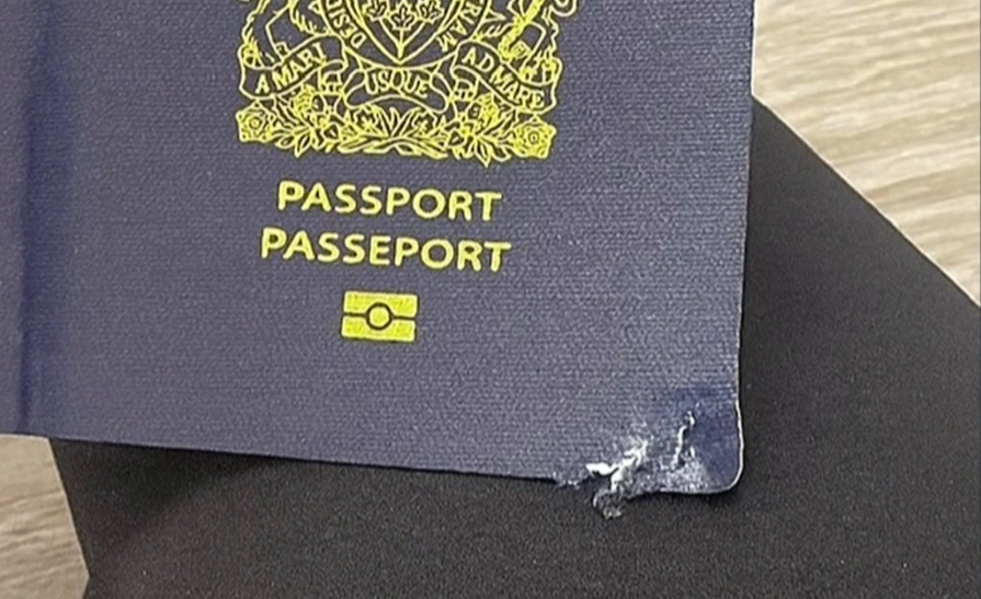 1764729075753591.png 692ef81f3fb30_original.png