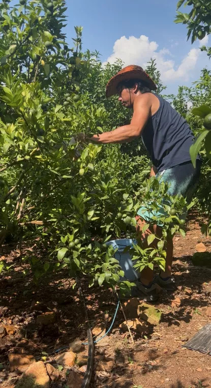 1764782833160645.jpg fd3c3d18ce19ff2fa00e2b4f140ebcbf.jpg