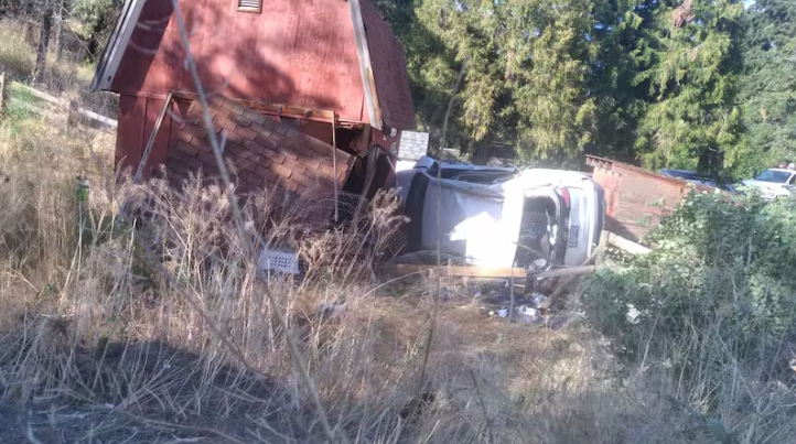 1765034691127467.png 693343bfa2f57_original.png