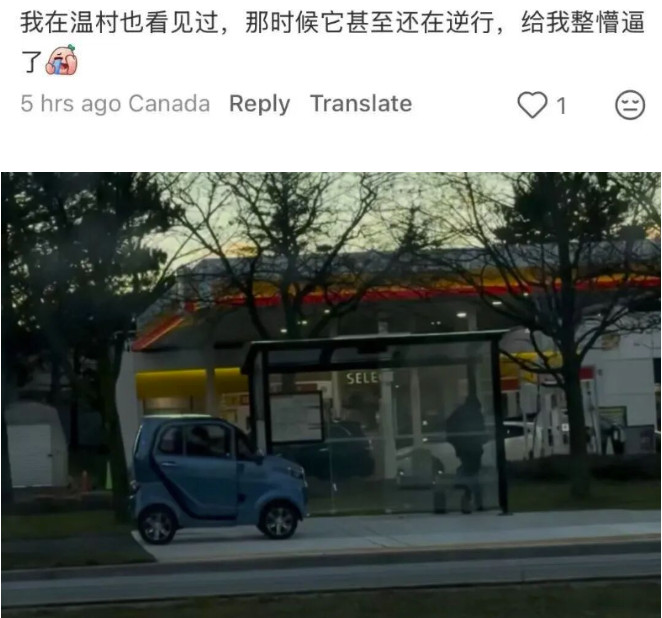 1766354420548037.jpg 2025-12-21_170003.jpg