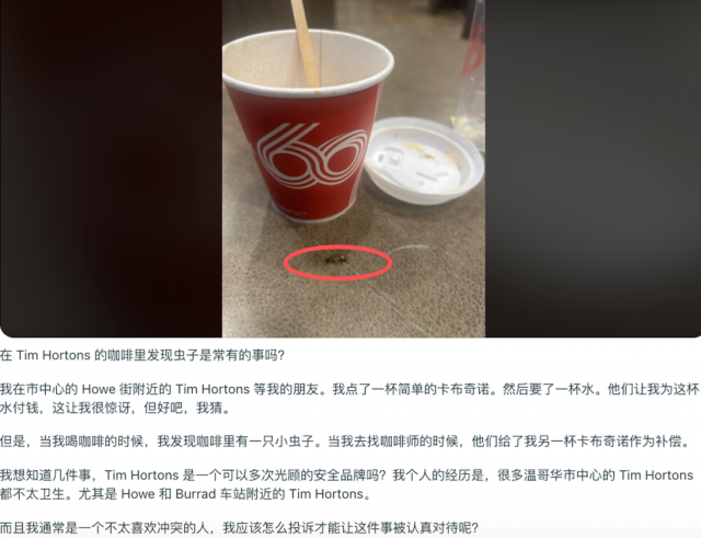 1766425239837826.png q373q.png