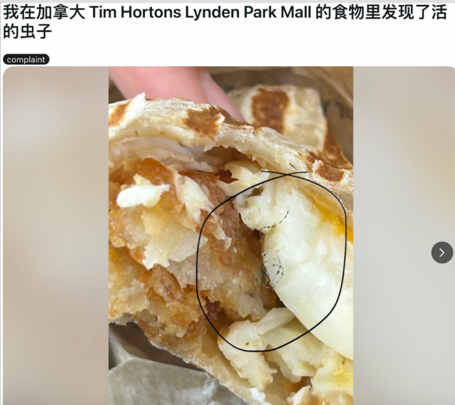 1766425310255737.png 24ai7.png