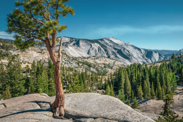 1766788848683941.png 694ee5251648e_original.png