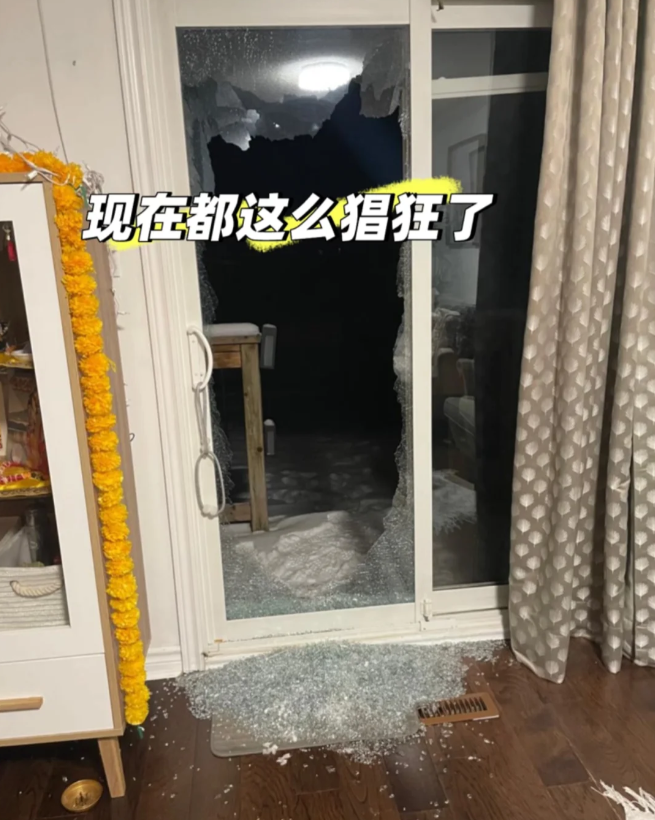 1766837833911209.png 1.png