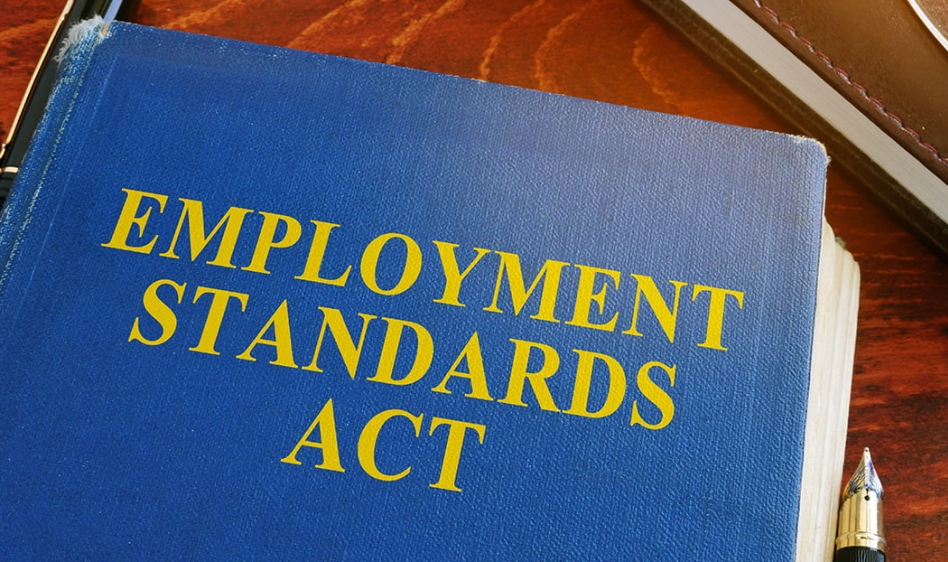 1767013244244327.png 6951930a32ec8_1080.png