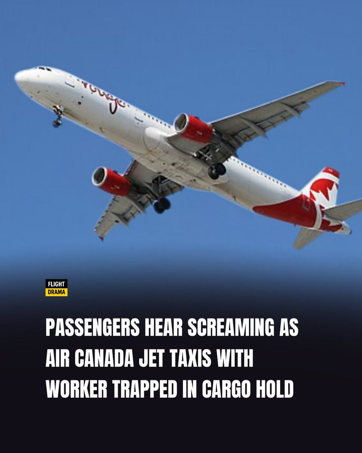 1768256469149843.jpeg 696514192da72_720.jpeg