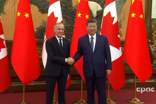 1768566645634260.jpeg 696a299a5364c_original.jpeg