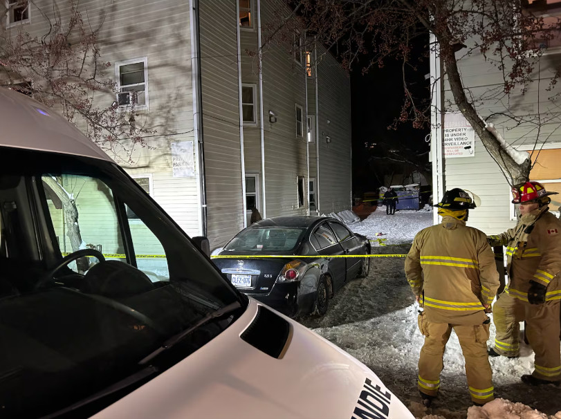 1768860693744871.jpg 2026-01-19_171103.jpg