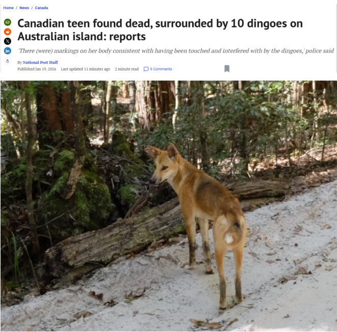 1768864423152740.jpg 2026-01-19_181325.jpg