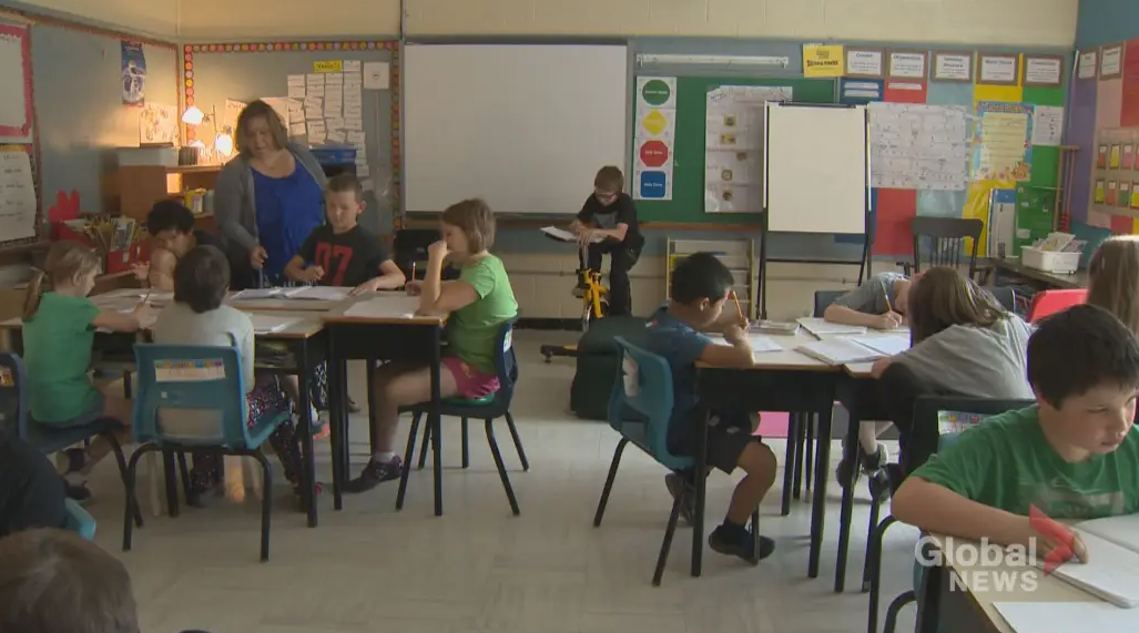 1769121967532100.png 697296322a1a5_original.png