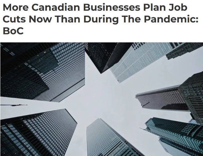 1769172334980348.jpg 2026-01-23_074514.jpg