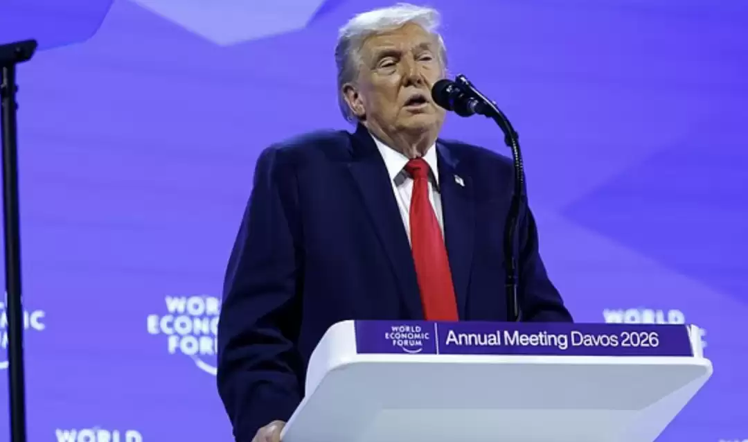 1769172667200059.png 125047ha4p888k0nm88o0v.png