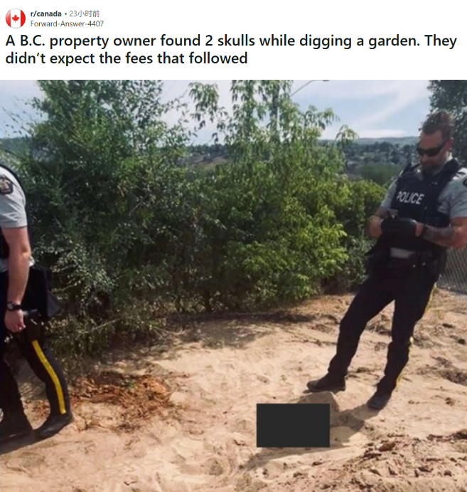 1769344580248478.jpg 2026-01-25_073607.jpg