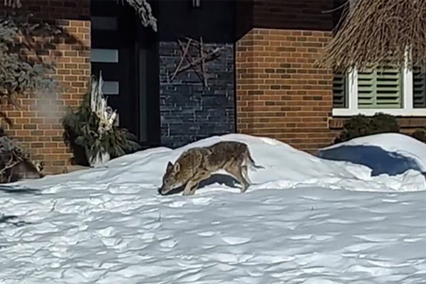 1769728501930279.jpg 2026-01-29_181418.jpg