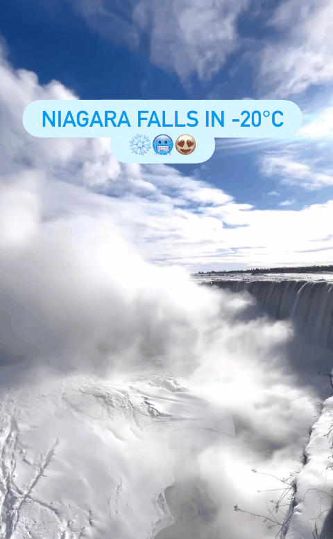 1769737872967253.gif 697b99f97332e_original.gif