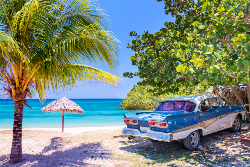 1771279979556662.png 6993238857deb_original.png