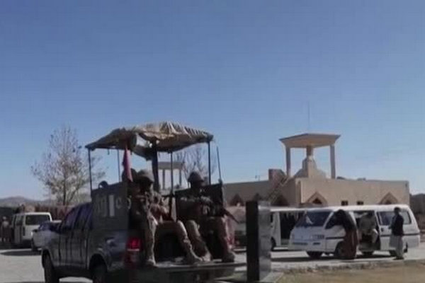 1772213090136336.jpg 917B0FF8AA976FEA74205FE0DE5BA83EE61D16EF_size36_w600_h338.jpg