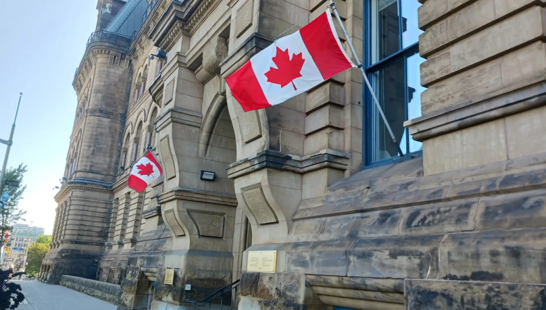 1772386076656008.png 69a34921a1469_1080.png