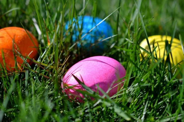 1774649542718205.jpg Ottawa-Recreation-and-Culture2-855x570.jpg