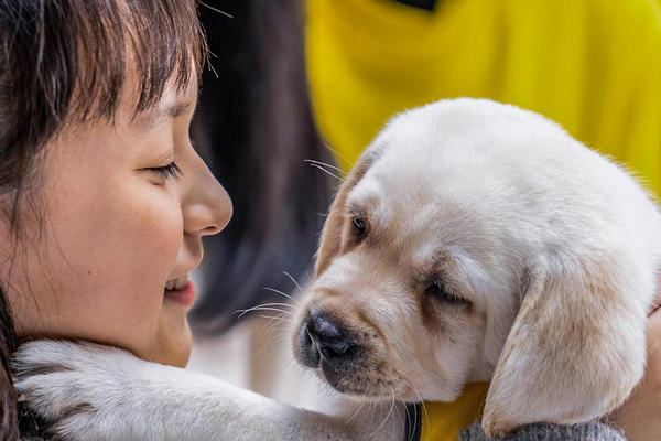 1774897809525207.jpeg ecec80f4f3f849e589053ee49f690829.jpeg