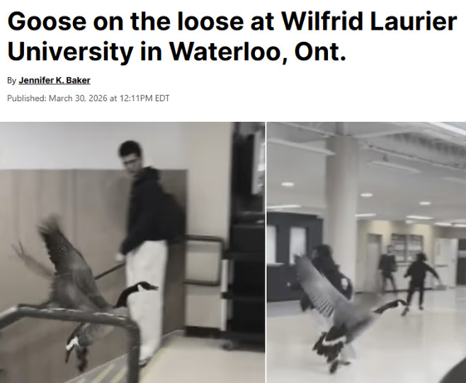 1775044652839703.jpg 2026-04-01_075713.jpg