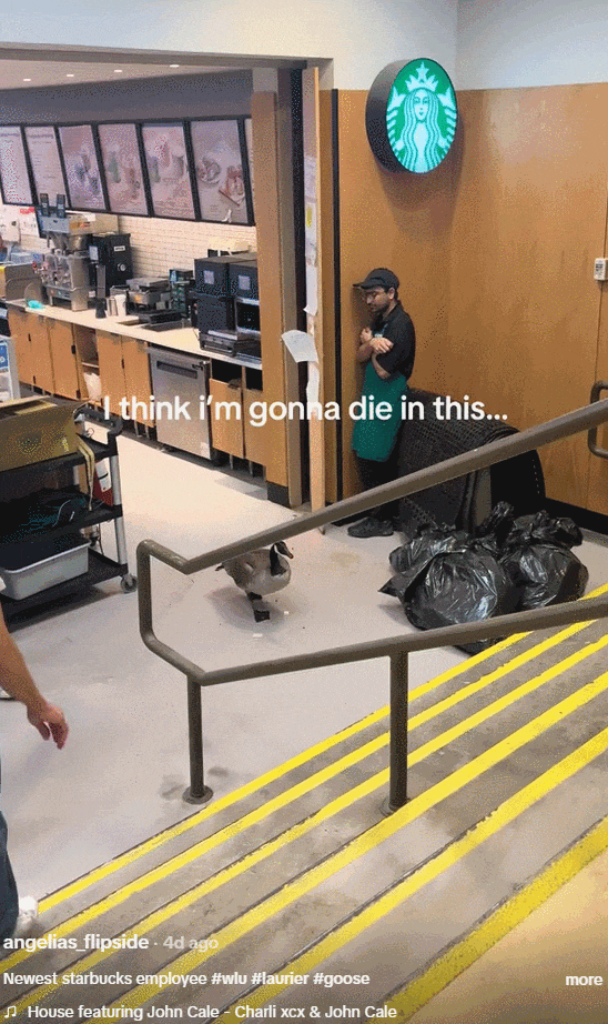 1775044693542027.gif 1.gif