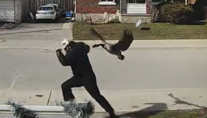 1775044769778328.png 69cc33c6ef61d_original.png