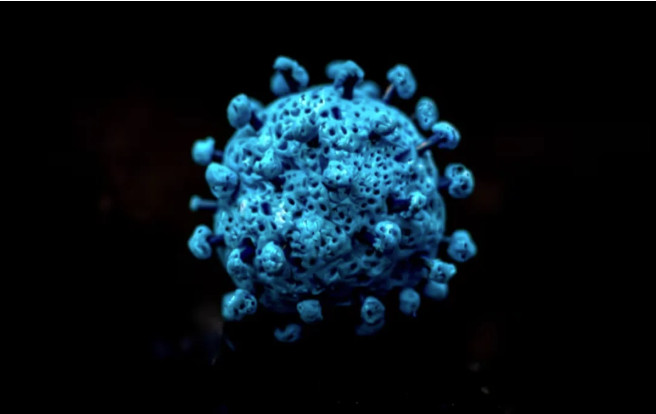 1775648413558777.jpg 2026-04-08_074001.jpg