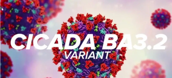 1775648468414130.jpg 2026-04-08_074048.jpg