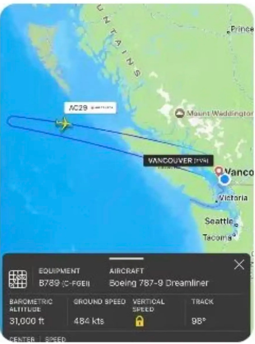 1776126430925286.png 69dd04cb14a10_original.png