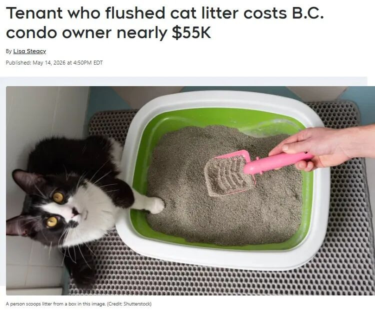 1779275877200769.jpeg 6a0c721a94050_original.jpeg