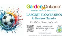 FLOWER-EDIBLES-SHOW-250x165.jpg