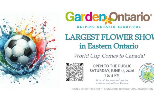 1781250854311867.jpg FLOWER-EDIBLES-SHOW-855x570.jpg