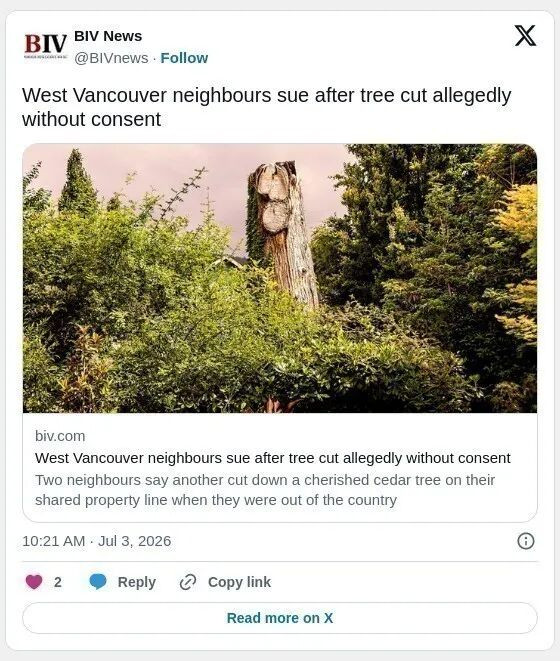 1783303015343866.jpeg 2.jpeg
