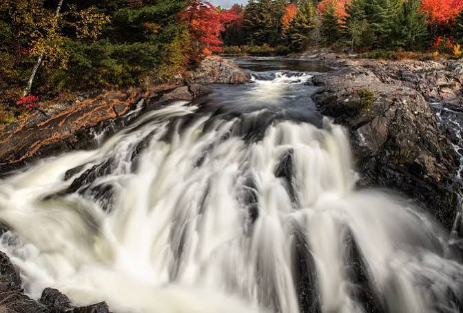 1784020197786208.jpg download.jpg