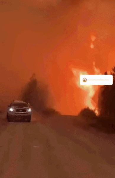 1784555046457638.gif 4.gif