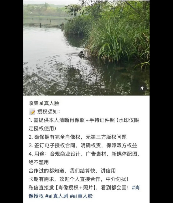1784971830414817.jpg 3.jpg