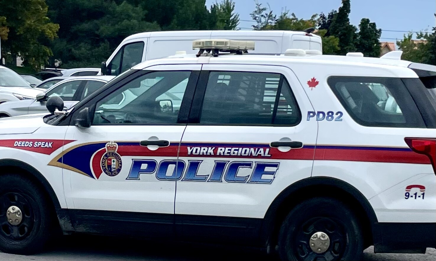 1787501766163134.jpeg 2.jpeg