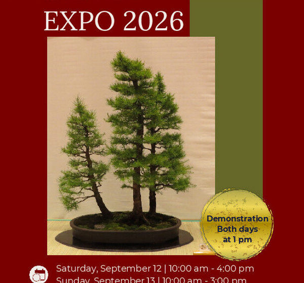 1788946712178749.jpg Bonsai-show-poster-v2-612x570.jpg