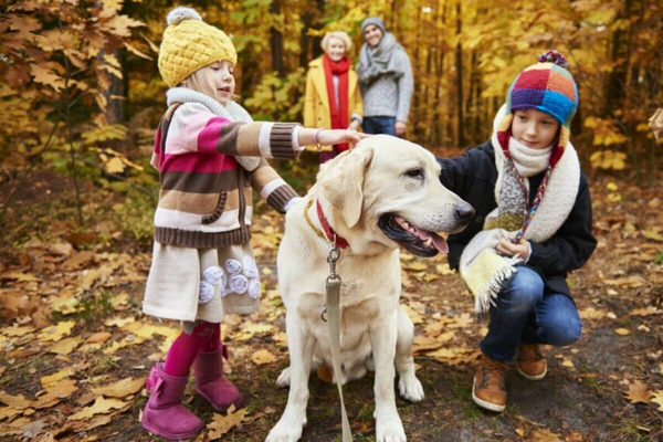 1792719358646036.jpg Pet-Show-855x570.jpg