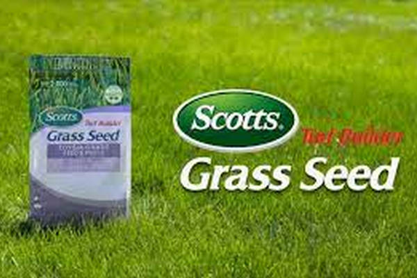 缩略图 | 【打折快报】你家草坪绿了吗？多用途混合草籽（1公斤）Scotts 7.1折 14.99加元！