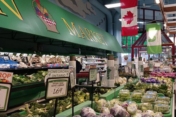 缩略图 | 加拿大将引入一批海外折扣超市，逼三大巨头降价！