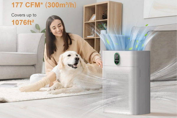 缩略图 | MORENTO智能空气净化器：原价299.99，打折加优惠券115.99