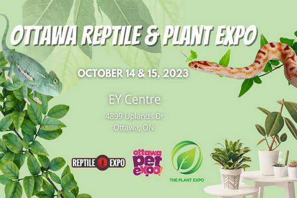 缩略图 | 渥太华爬行动物和植物博览会：快快加入 EY 中心，享受欢乐时光！