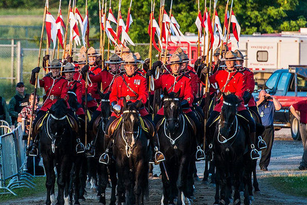 缩略图 | 加拿大皇家骑警音乐马厩开放日：体验加国文化，精彩不容错过！