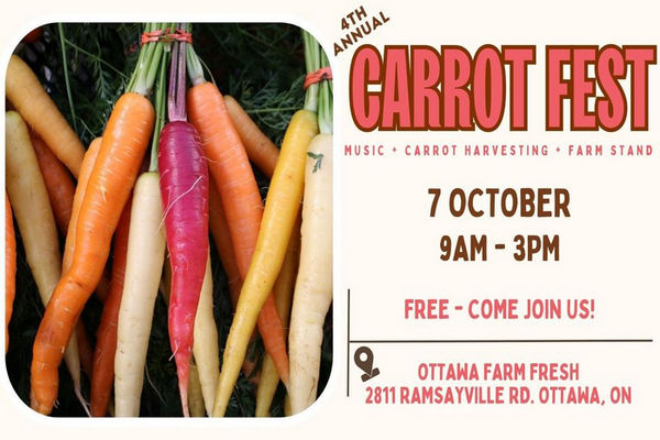 缩略图 | 第四届年度胡萝卜节：收割胡萝卜，购买有机蔬菜，了解种植和收割知识