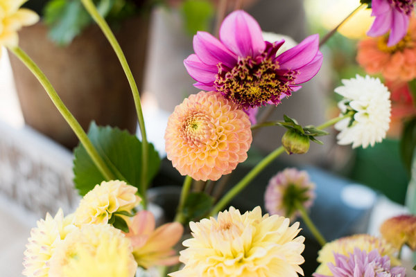 缩略图 | 2023年渥太华花卉市场：争奇斗艳，姹紫嫣红，让美丽的鲜花带给您愉悦和芳香！