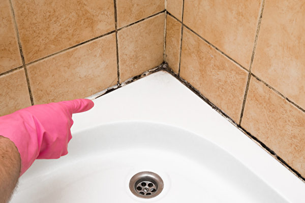 缩略图 | 专家教你用奇招去除浴室霉菌，迅速见效！