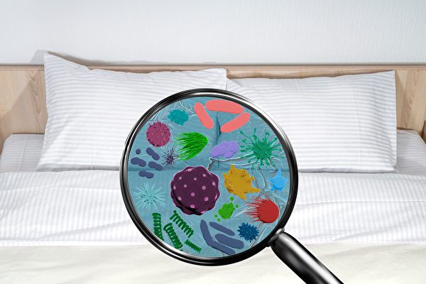 缩略图 | 杀菌除螨，床单该怎么洗？生物学家教你4技巧
